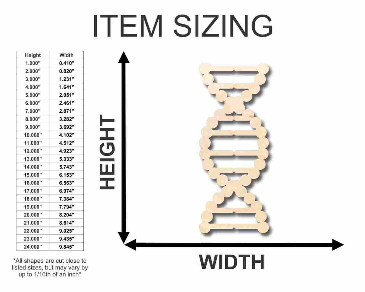 Unfinished Wooden DNA Shape - Biology - Craft - up to 24" DIY-24 Hour Crafts