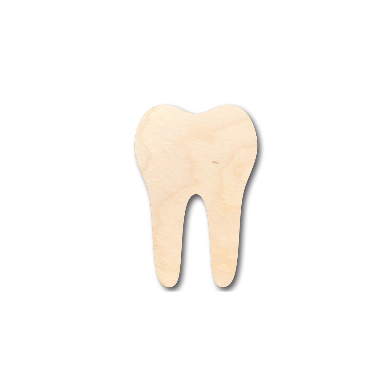 Unfinished Wooden Tooth Shape - Tooth Fairy - Dentist - Craft - up to 24" DIY-24 Hour Crafts