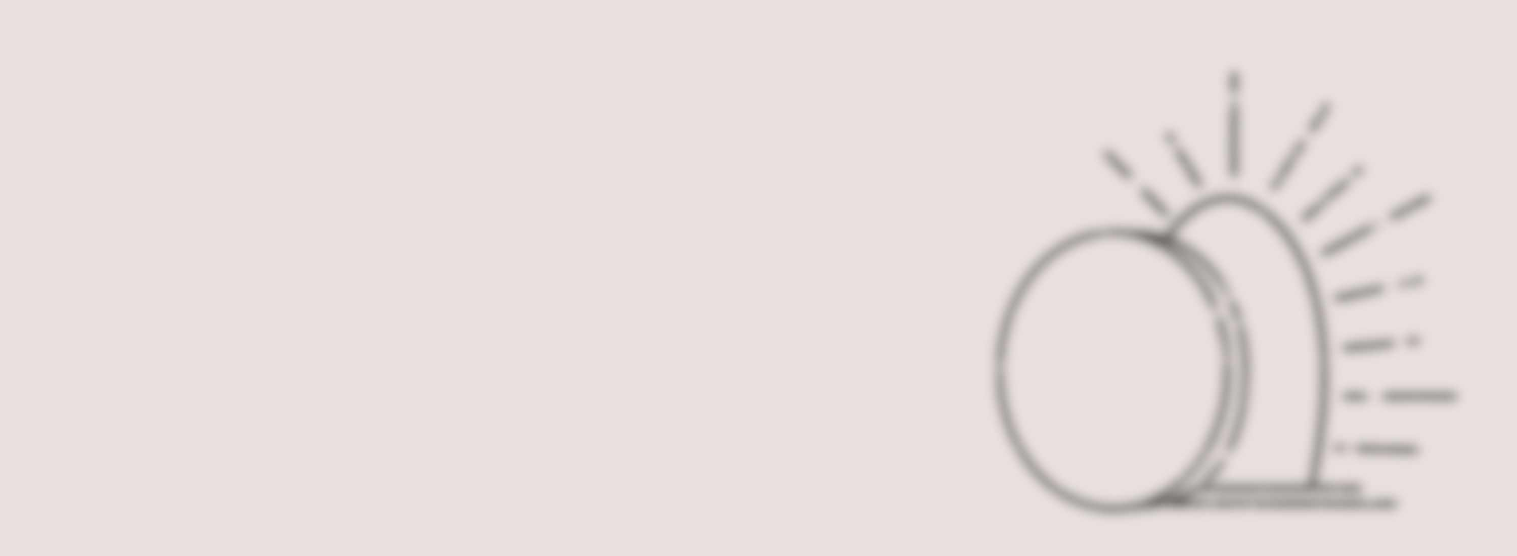 The Rooted In Grace Collection