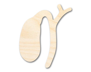 Unfinished Wood Gallbladder Shape | DIY Craft Cutout | up to 46" DIY