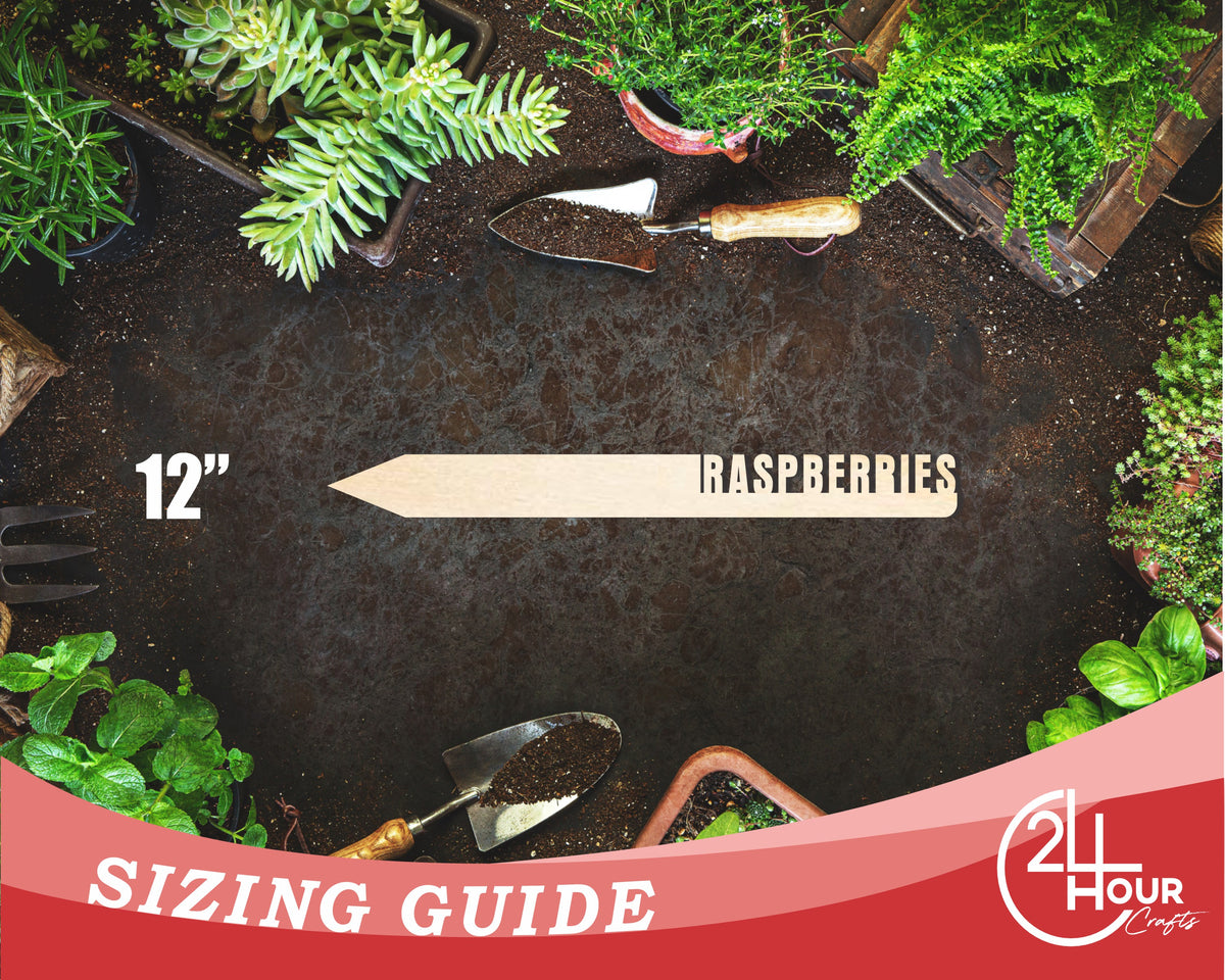 Unfinished Wood Raspberries Garden Stake | DIY Craft Cutout | up to 24 ...