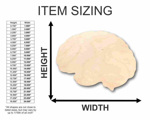 Unfinished Wooden Brain Shape - Science - Craft - up to 24" DIY-24 Hour Crafts