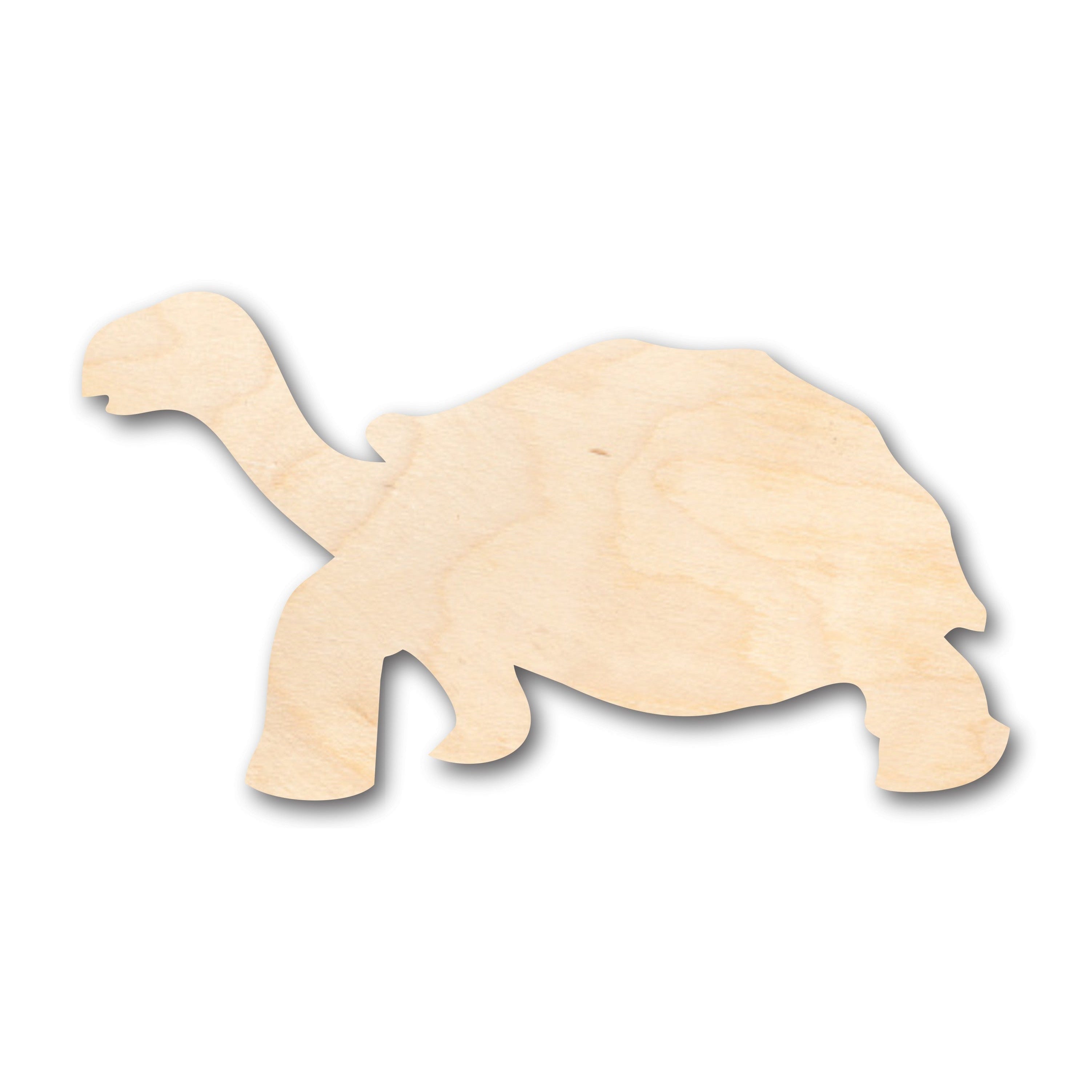 Unfinished Wood Tortoise Shape - Craft - up to 36