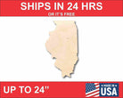 Unfinished Wooden Illinois Shape - State - Craft - up to 24&quot;  DIY