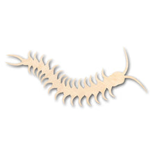 Load image into Gallery viewer, Unfinished Wooden Centipede Shape - Insect - Wildlife - Craft - up to 24&quot; DIY-24 Hour Crafts
