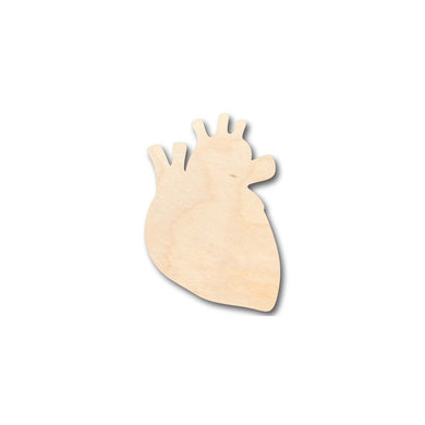 Unfinished Wooden Human Heart Shape - Craft - up to 24